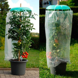 Set za zaštitu rajčice