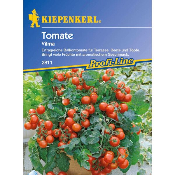 Sjeme balkonske rajčice