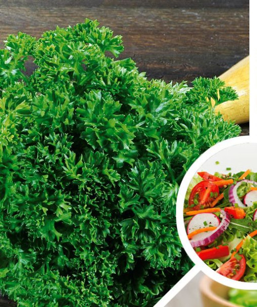 Valoviti peršin (2 kom)