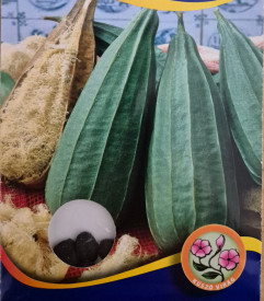 Lufa tikva (tikva spužva)