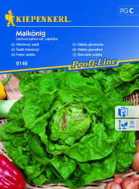 Zelena salata "May king"