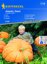 Divovska tikvica Atlantic Giant (sjeme)
