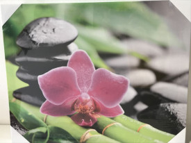Zen slika sa orhidejom