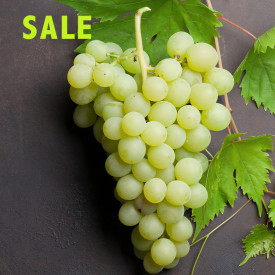 Bijelo stolno grožđe bez sjemenki Picurka