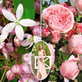 Klematis Apple Blossom + Giardina ruža