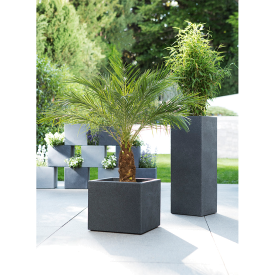 Posuda za cvijeće C-Cube Stony Siva High 70 cm