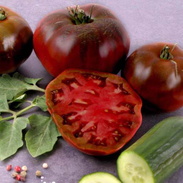 Crna salatna rajčica ‘Schwarze Krim’