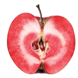 Redlove Odysso - zimska jabuka