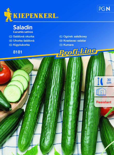 Salatni krastavac Saladin (sjeme)